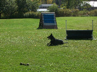 Eros working in obedience